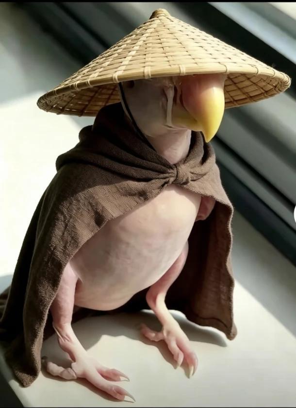 炒股的人过来看一下
图一是8月初炒股的人
图二是7月份炒股的人
图三是6月份炒股