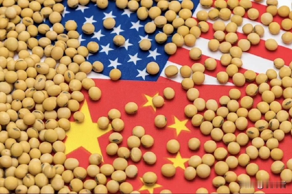 就在刚刚！
中国刚敲定18万吨美国大豆订单，
巴西大豆价格当天就跌了
1.14%