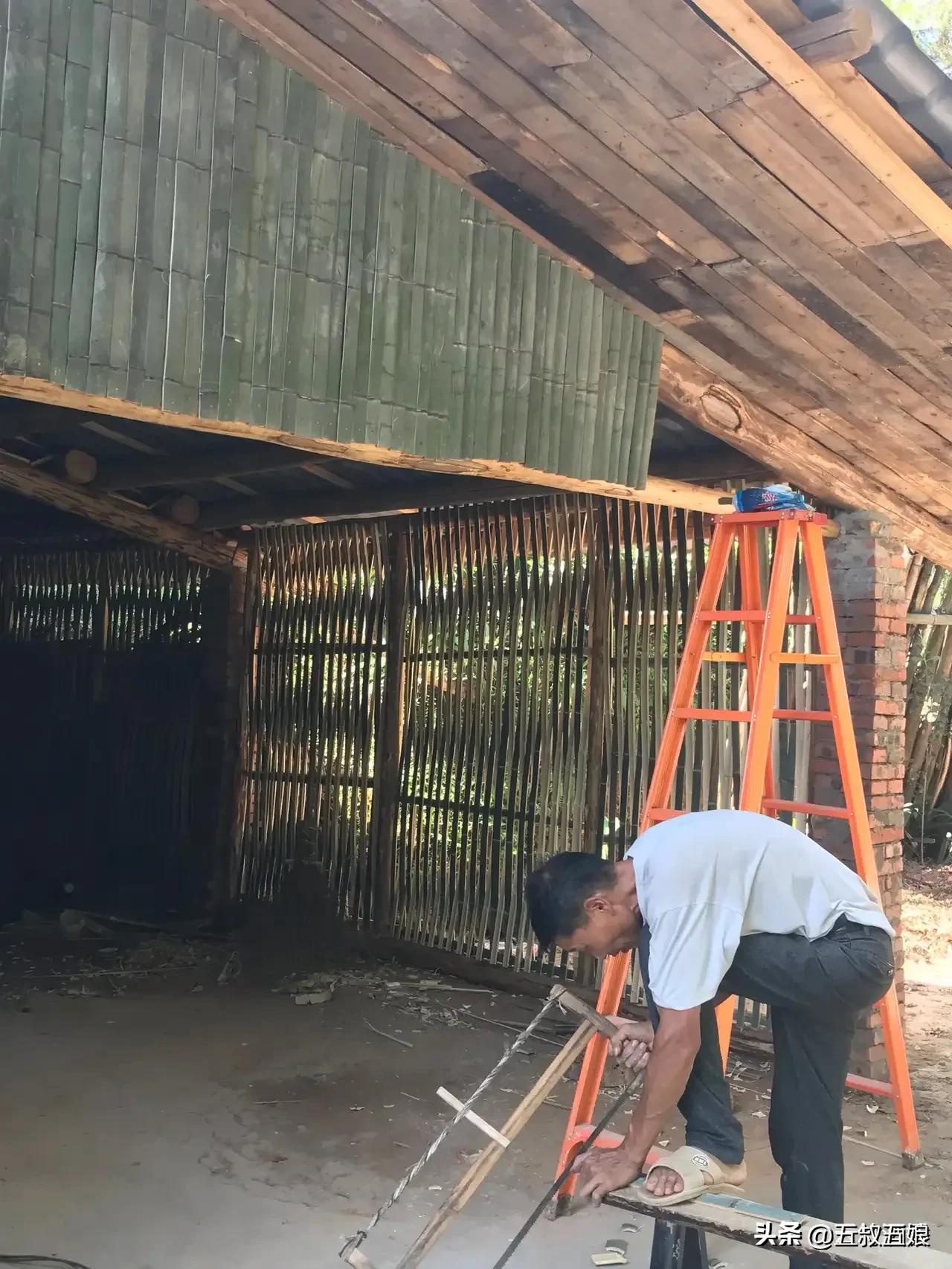 世隔多年我又回来了