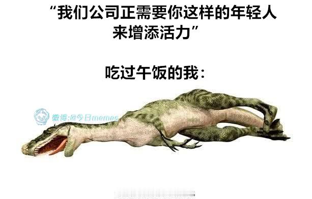 正是长身体的时候（9gag） 今日meme[超话]   