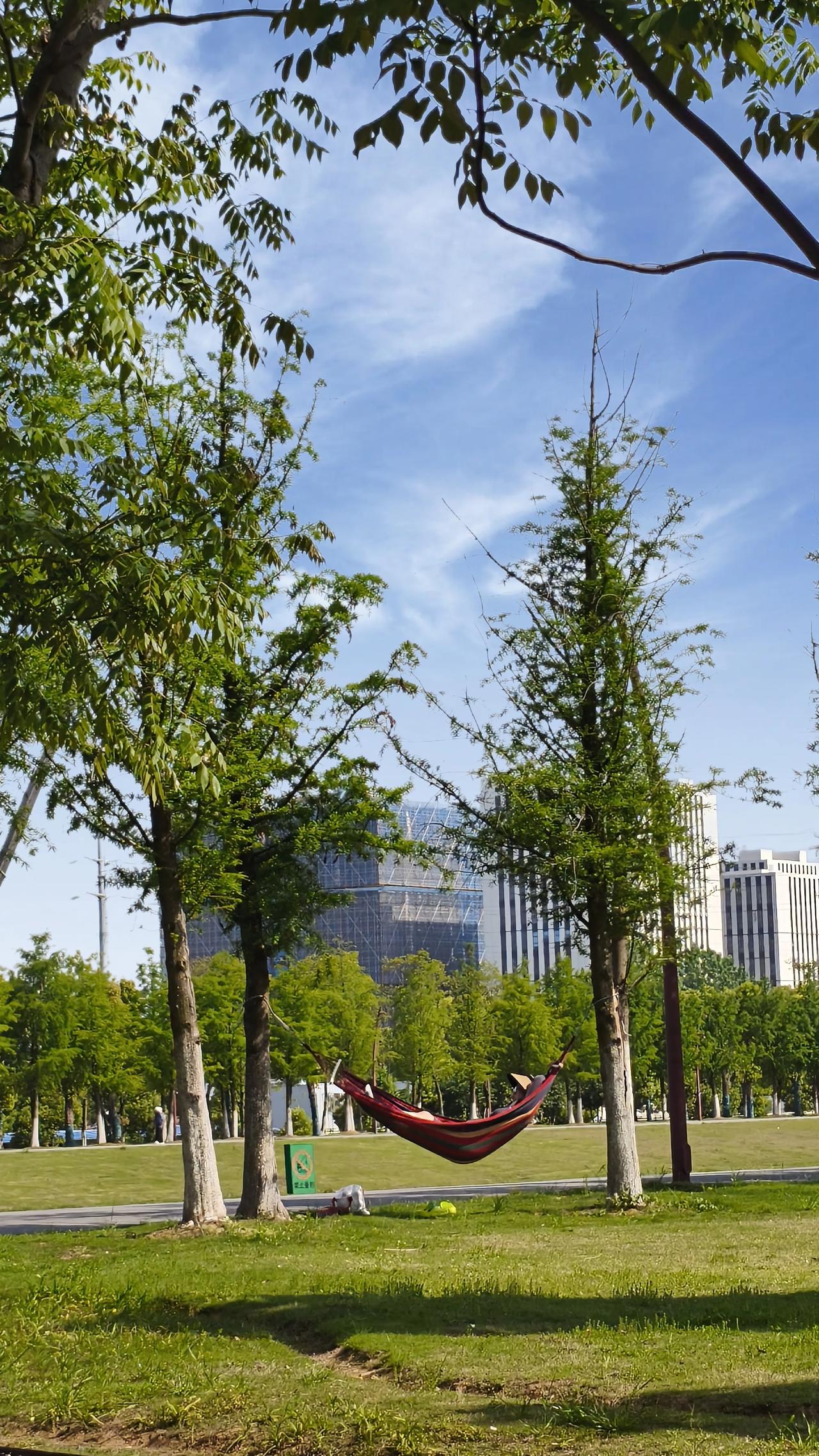 就像我所在的小城，午后时光总是慢悠悠的。我会搬把椅子到院子里，晒着太阳，看看书。