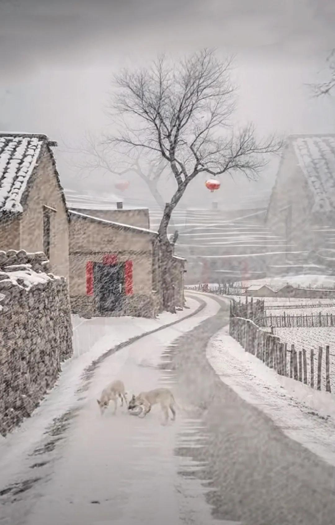 雪中山村，安静古朴。