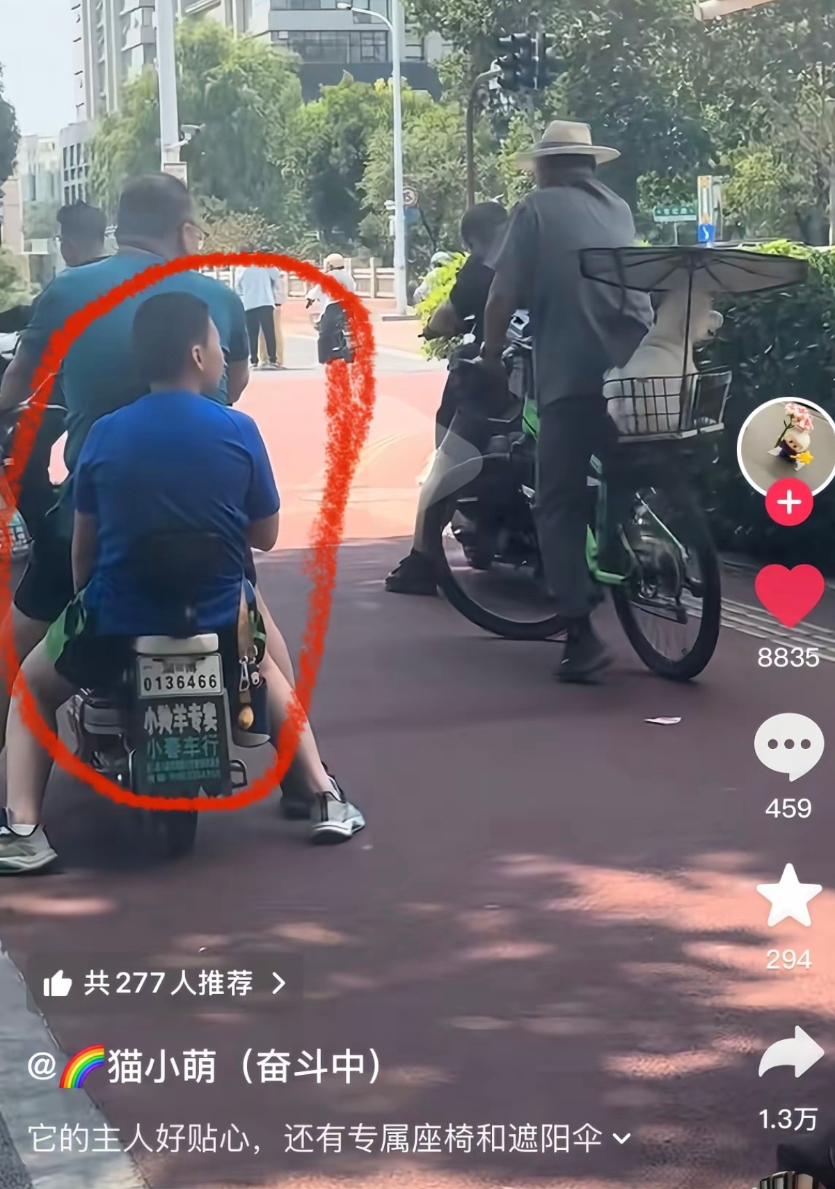 大爷养狗好精细 
