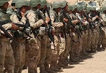 危机时刻，这组织思路清晰，国家利益至上。数千名受过训练的武装人员已准备好保卫伊朗