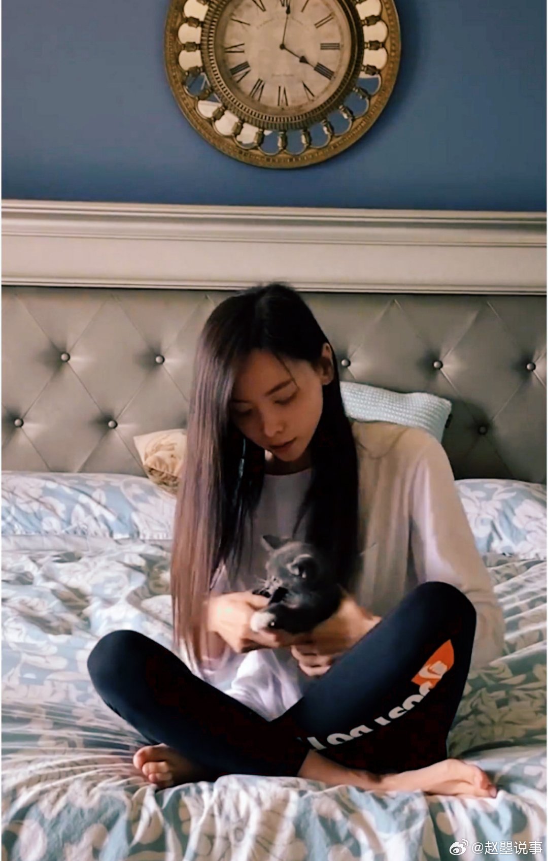 于文文好一个猫宝女 看她镜头里的猫猫永远毛发蓬松，眼神亮得像揣了星星，就知道被照