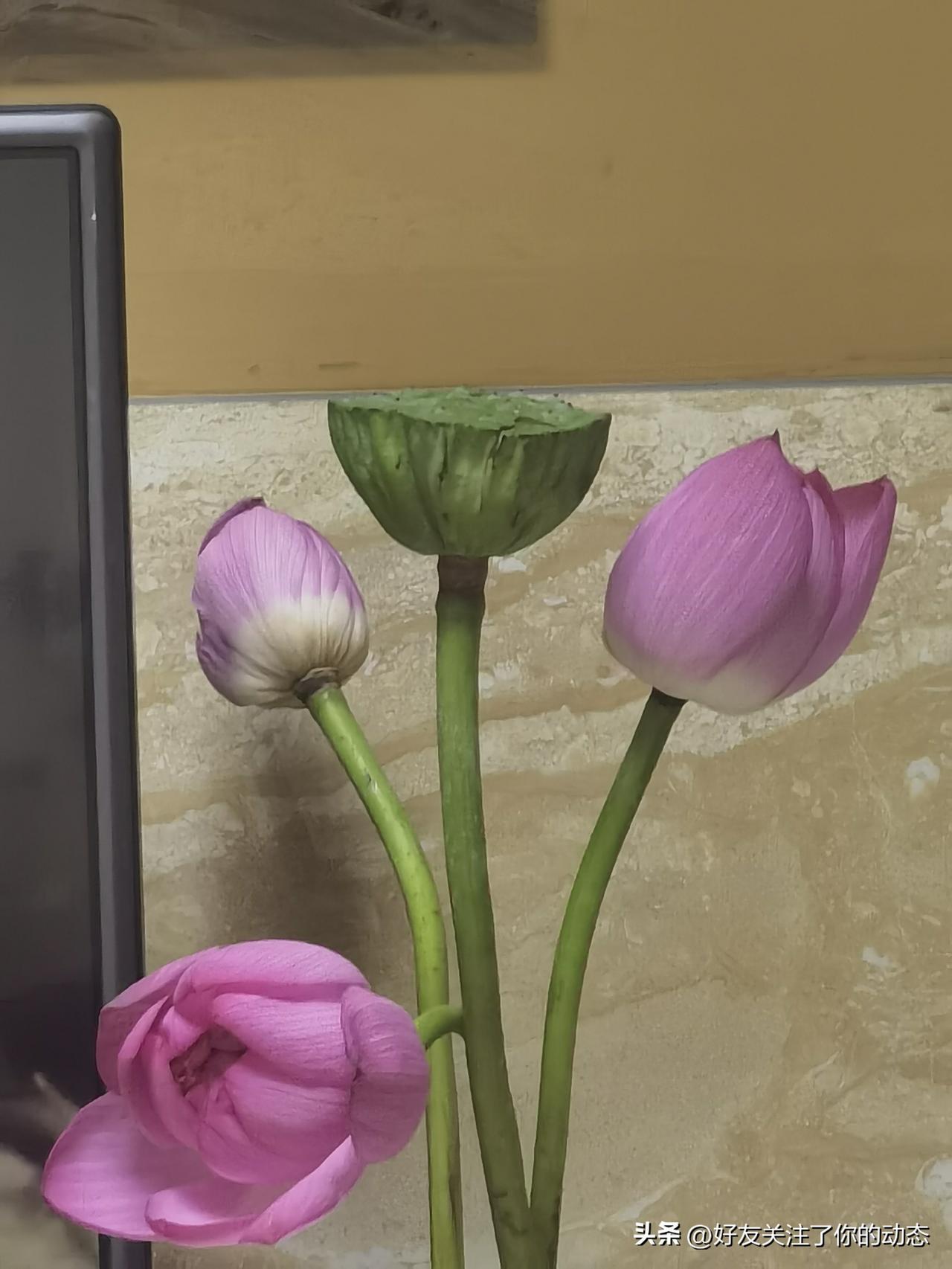 半生碌碌，愧对双亲殷殷期盼
 
少时父母不辞辛劳，倾尽财力心力供我寒窗苦读，满心