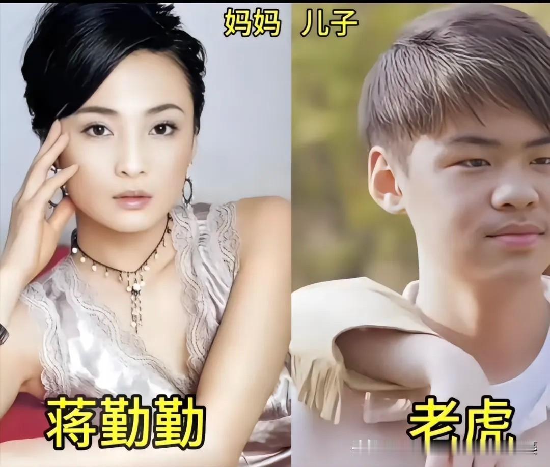 内娱一众女明星与儿子同框影像。
蒋勤勤&老虎、应采儿&陈胤羽、王艳&王泓钦
曹颖