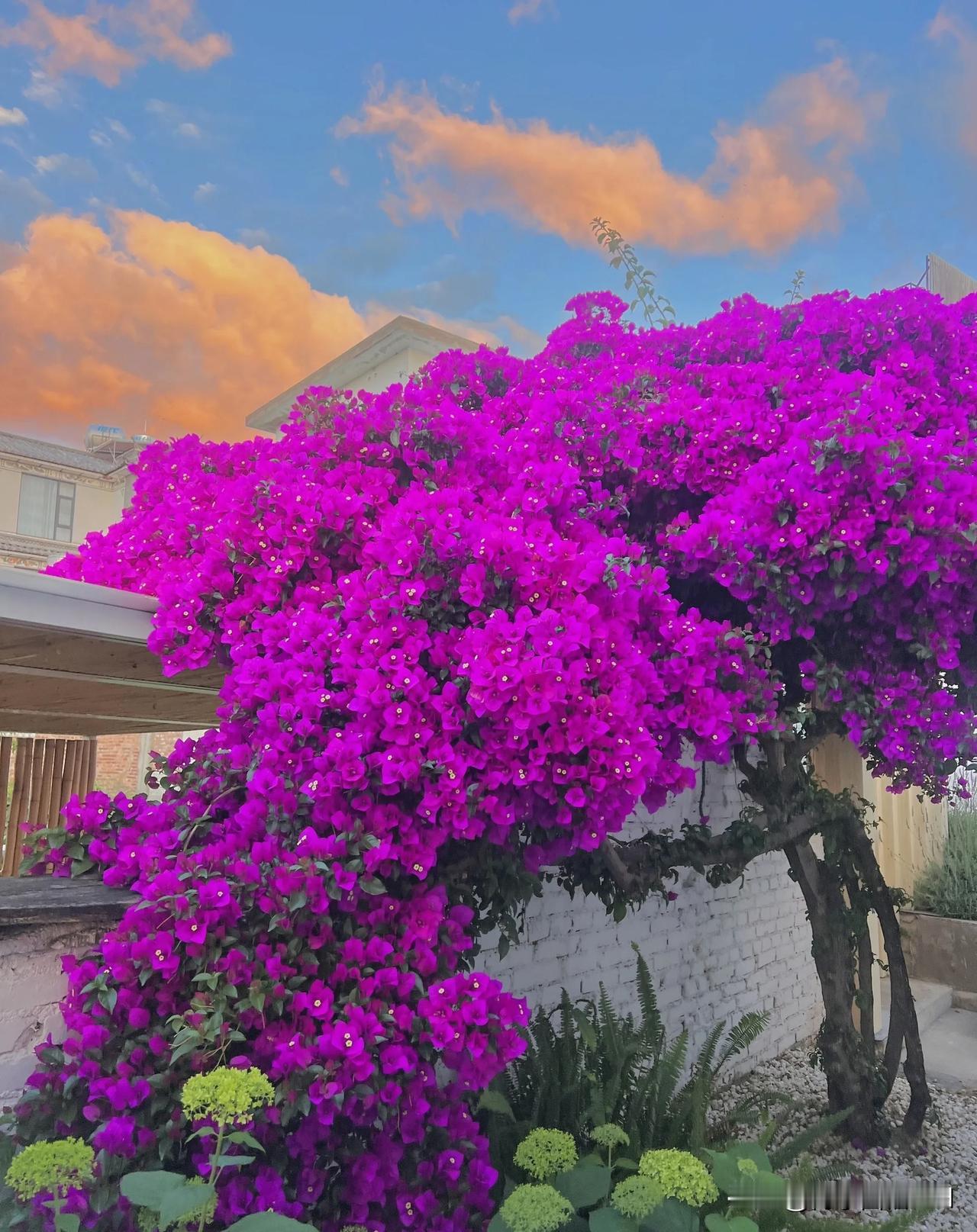 未曾清贫难成人
不经打击老天真
自古英雄出炼狱
从来富贵入凡尘
醉生梦死谁成器