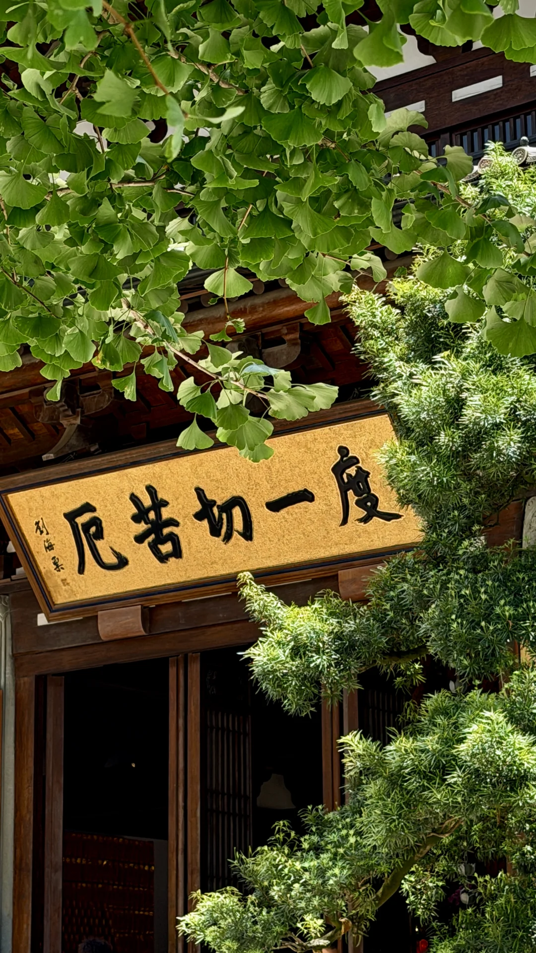 径山古道🍃建议能量低的人夏天都来走走