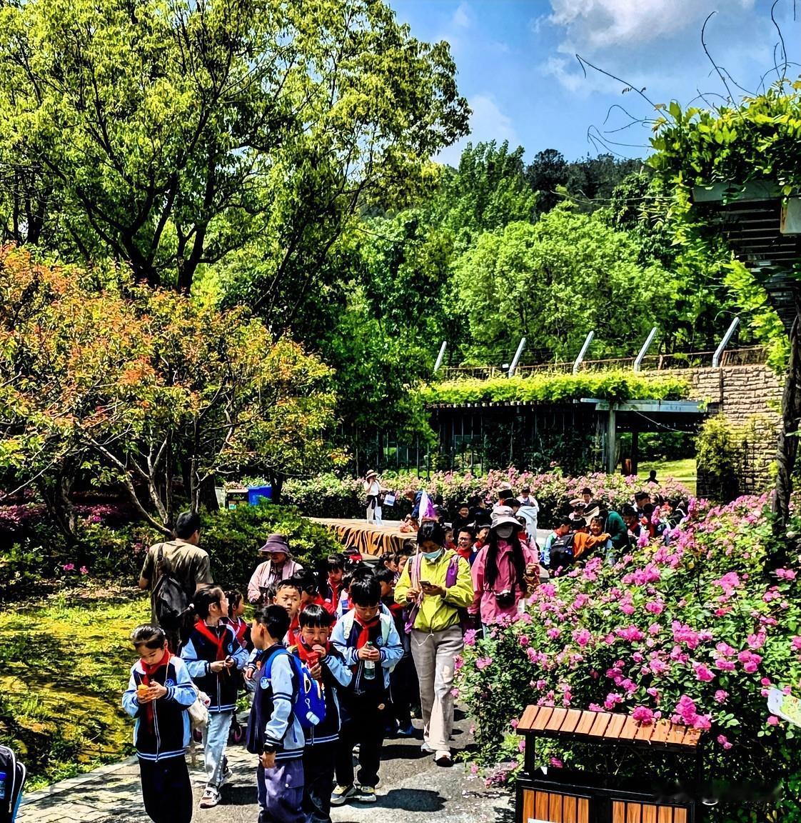 春游
带定位晒今日生活分享你随手拍的风景 值得推荐的拍照地方 
我的今日状态：?