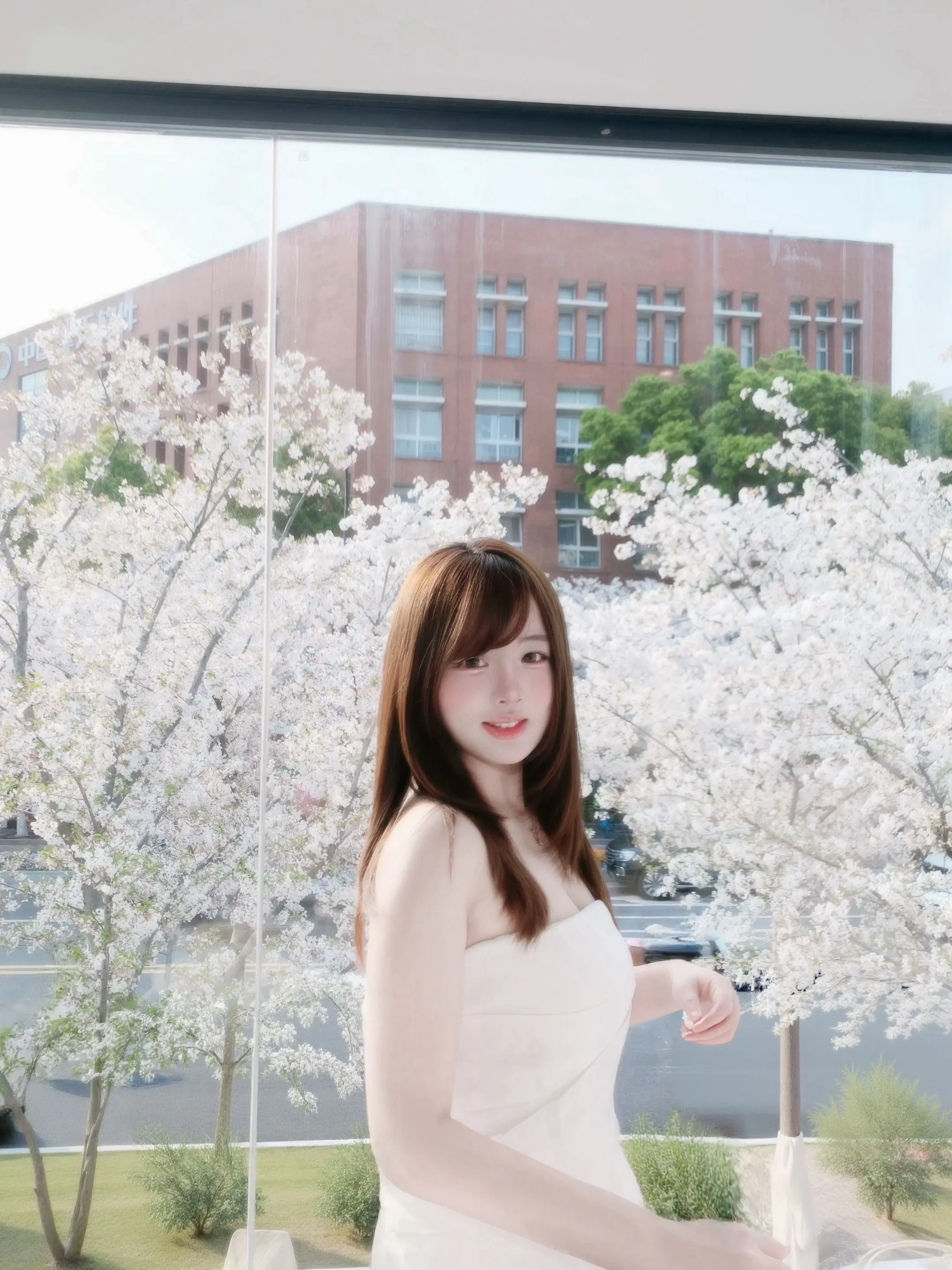 我的樱花在第一次见你的时候就开了