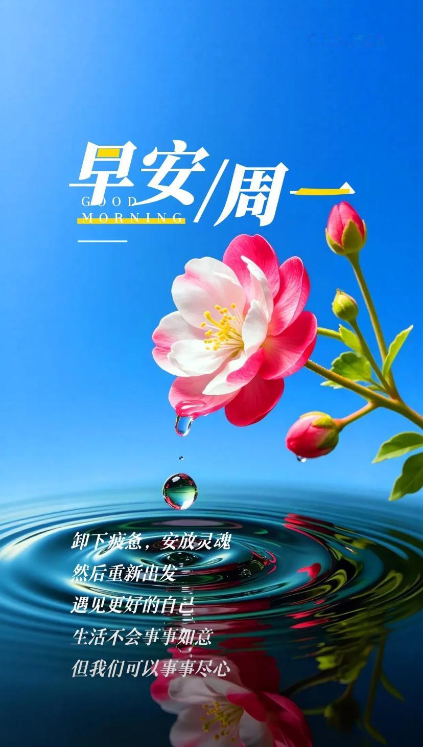 夏晨问安，流年走马行千里，挚友常随万里程。
2026./06.15.
[微风][