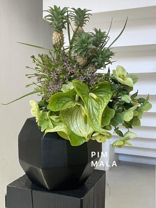 PIMMALA｜清新怡人