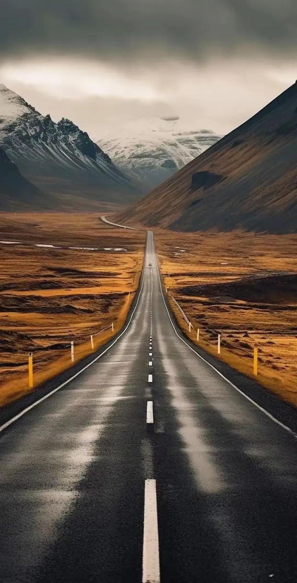 2025年的最后一天，窗外或许有烟花，室内或许有笑语。而我，只想在这个喧嚣与宁静