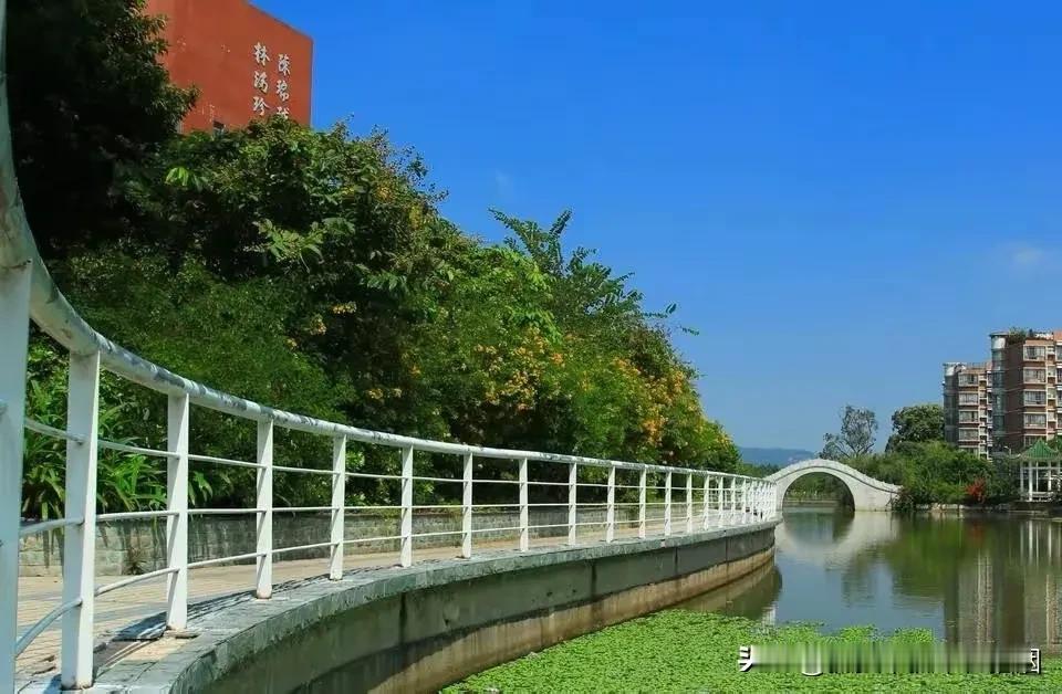 2023国内面积最大的十所大学

第七名：华南农业大学（占地8199亩）


华