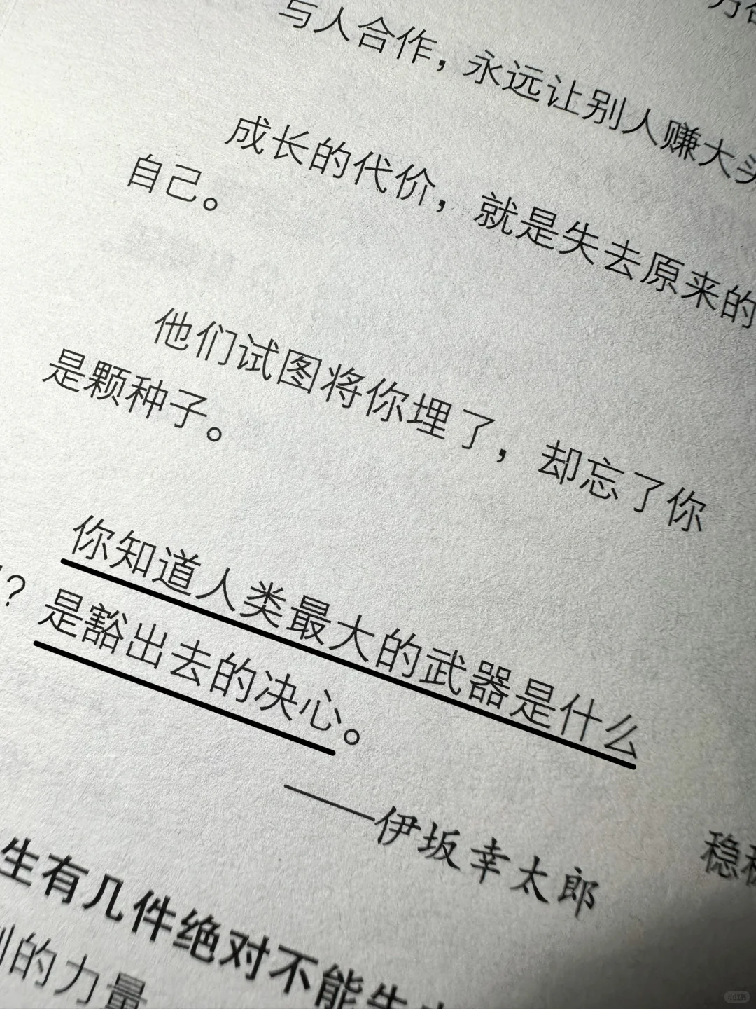 书摘 每日书摘 读书摘抄 一句顶一万句
