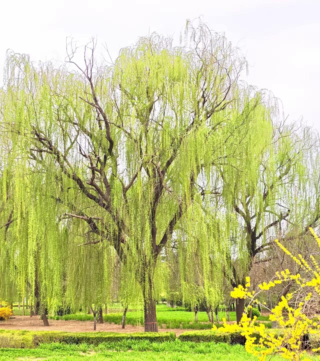 成年人必须具备的生存本领
 
1. 情绪自控力
不被愤怒、焦虑、委屈牵着走，遇事