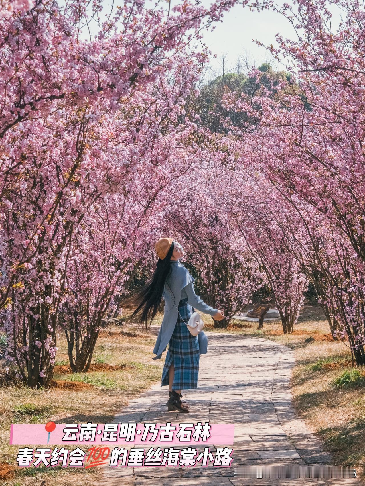 老派约会必去的路线｜春天氛围感满分的小路

春天到以下三条小路约会，浪漫浓度直接