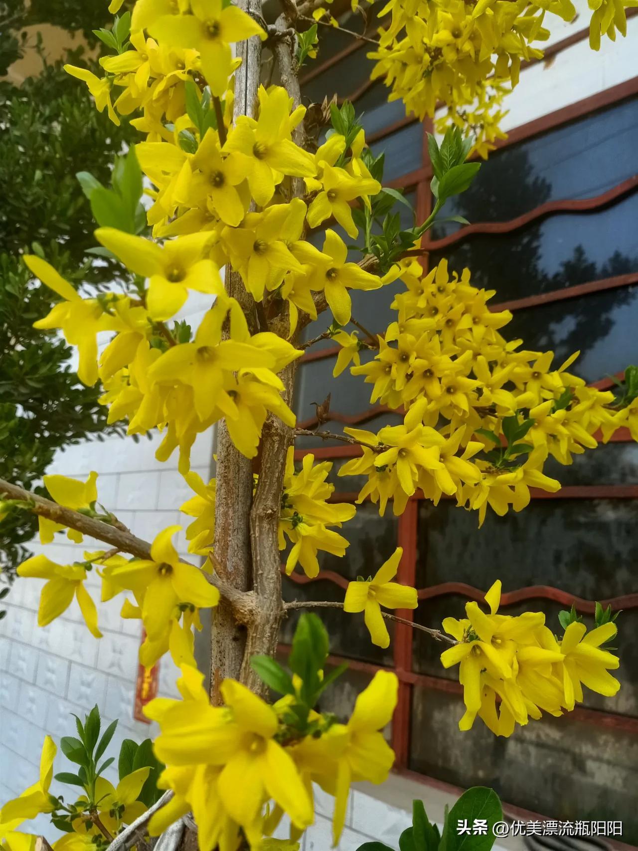 晒图笔记大赛太美了哈[呲牙]