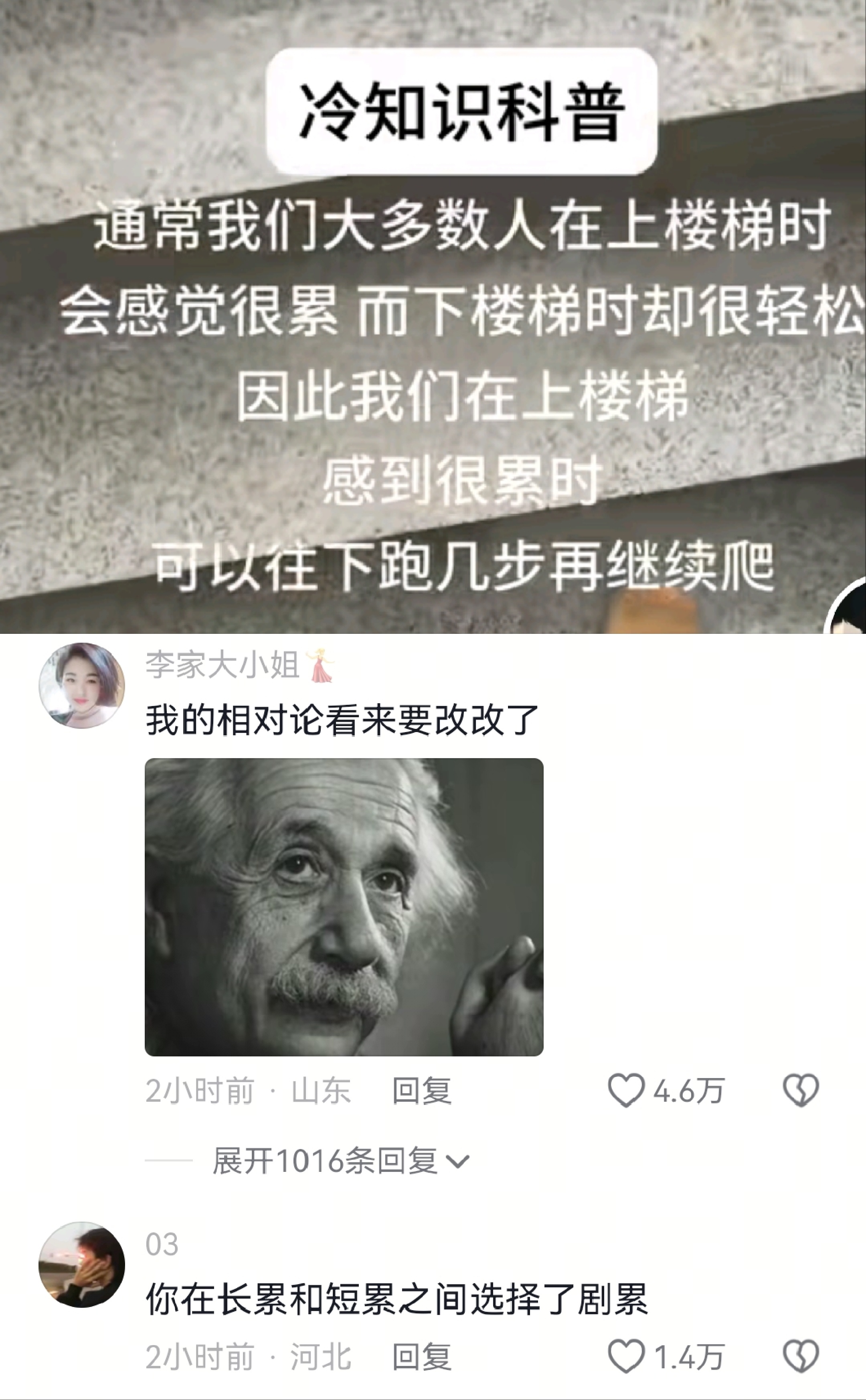 人怎么可以聪明成这样 