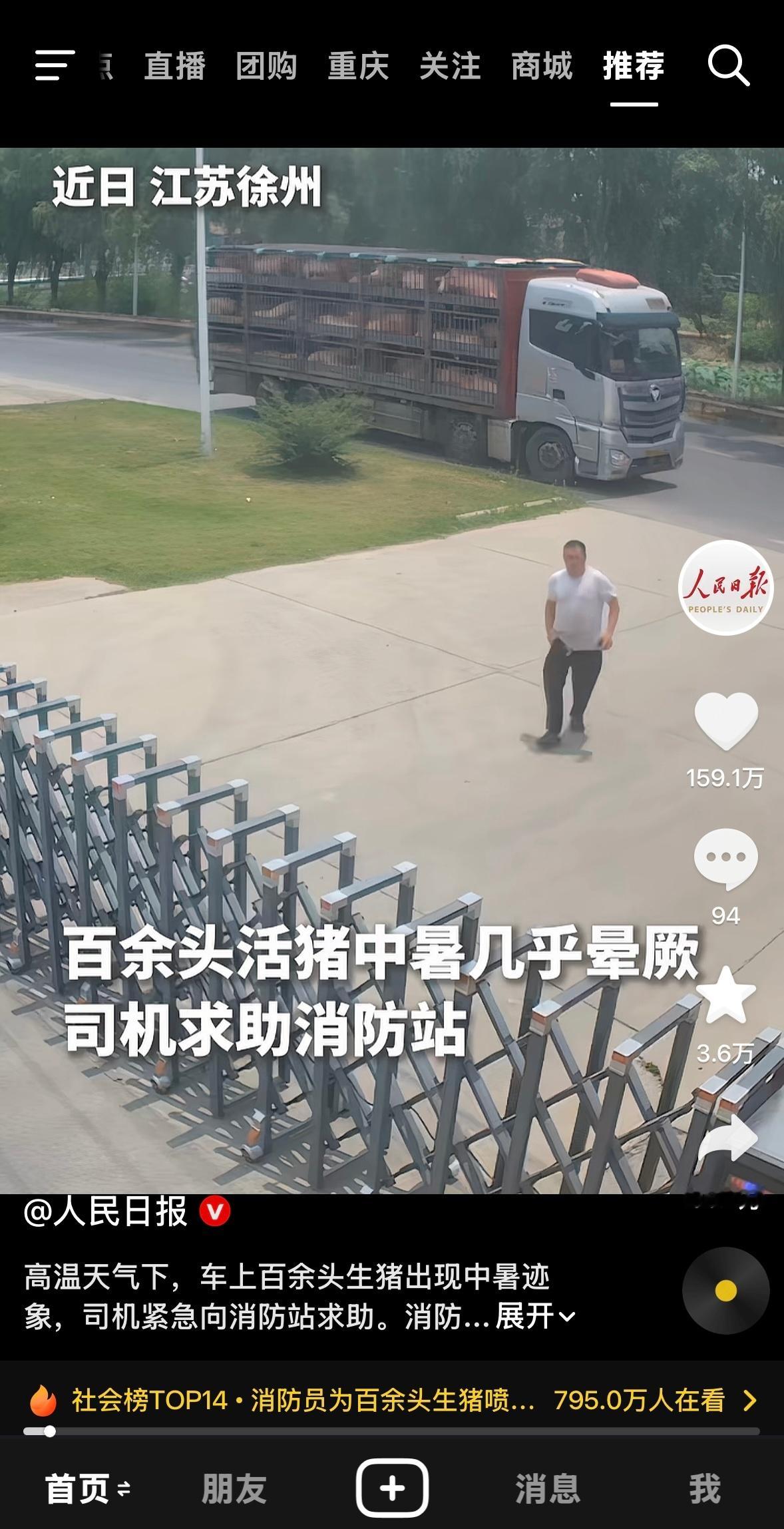要是让我这个外地人在盛夏的重庆街头走10分钟我也得申请享受一下猪兄的待遇了重庆