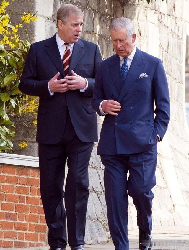 王子犯法与庶民同罪！

英国安德鲁王子近日被英国警方逮捕，其位于英国境内的两处住