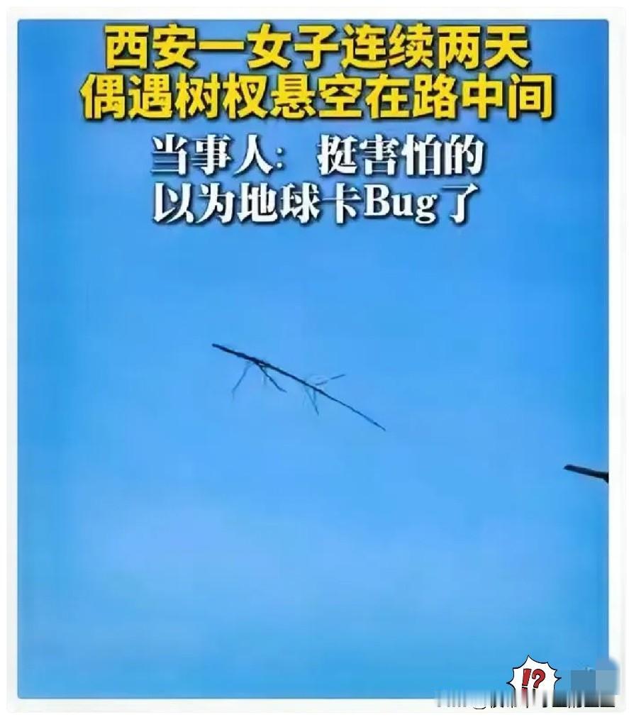 “彻底解释不清了！”西安一名女生下班途中撞见离奇一幕，一截树枝凭空悬停在空中。