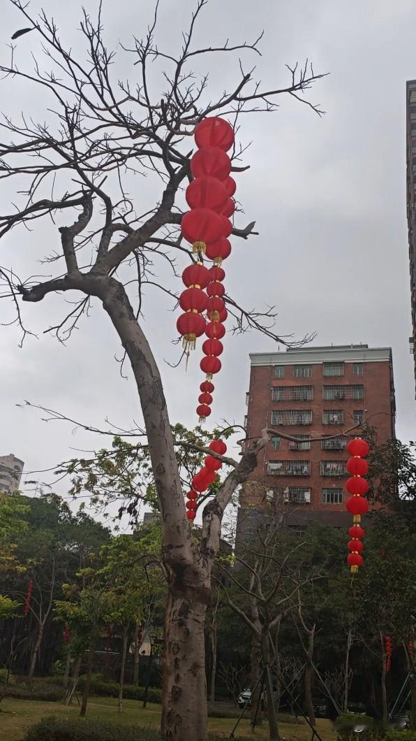 日子像被谁按了快进键，春节才过，转眼已闻蝉鸣。

有人说，这是因为每天的生活大同