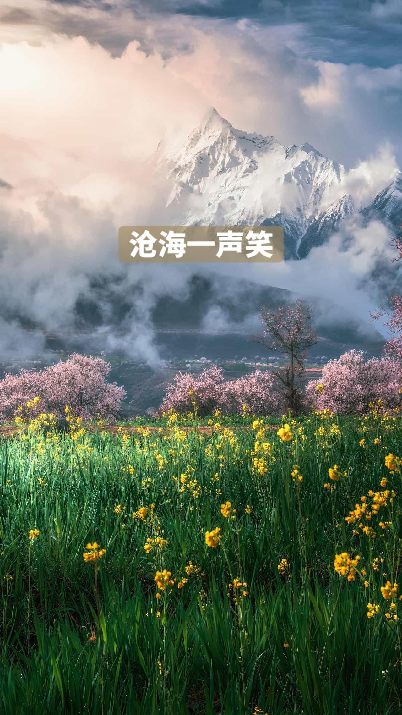有人的地方就有江湖，有风景的地方就会有花草！