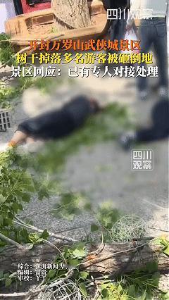 太惊险了！近日河南开封，万岁山武侠城景区内一根碗口粗的杨树树枝突然断裂砸落，多名