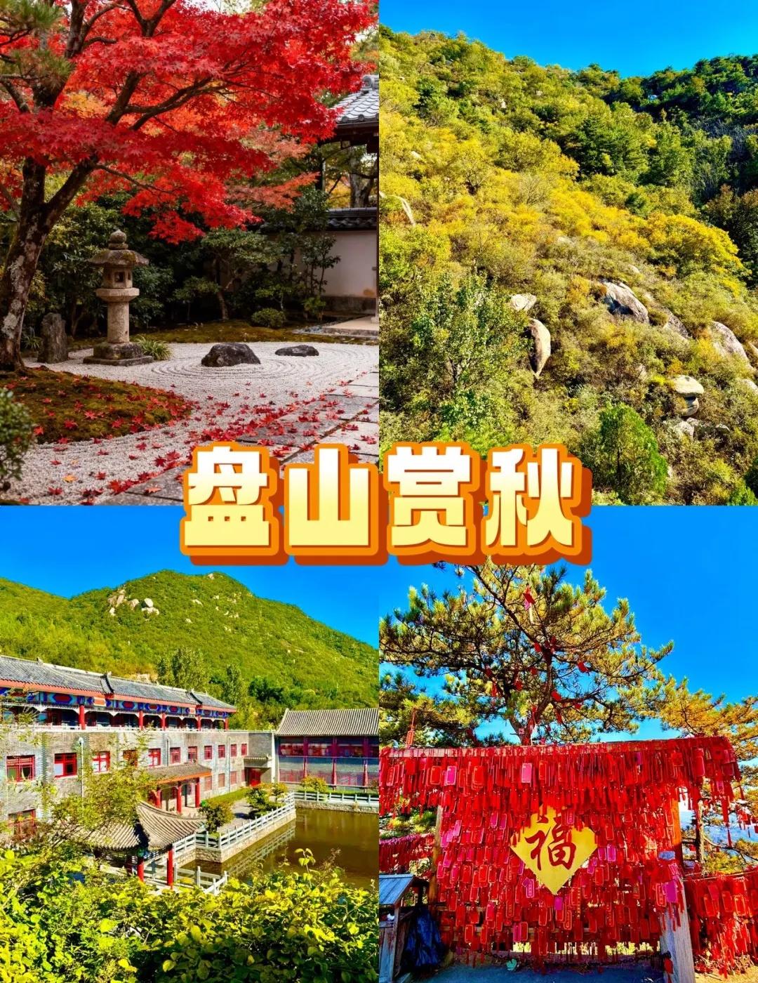 爬盘山看红叶！这篇避坑攻略请收好‼️
去年去盘山看红叶走错路，累到腿断还没看到啥