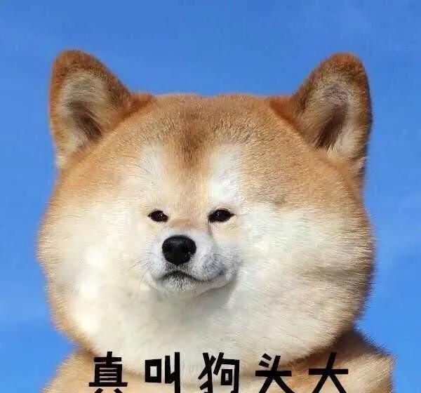 奴隶是自愿把自己卖给奴隶主的，为什么要说奴隶主压迫呢？
------------