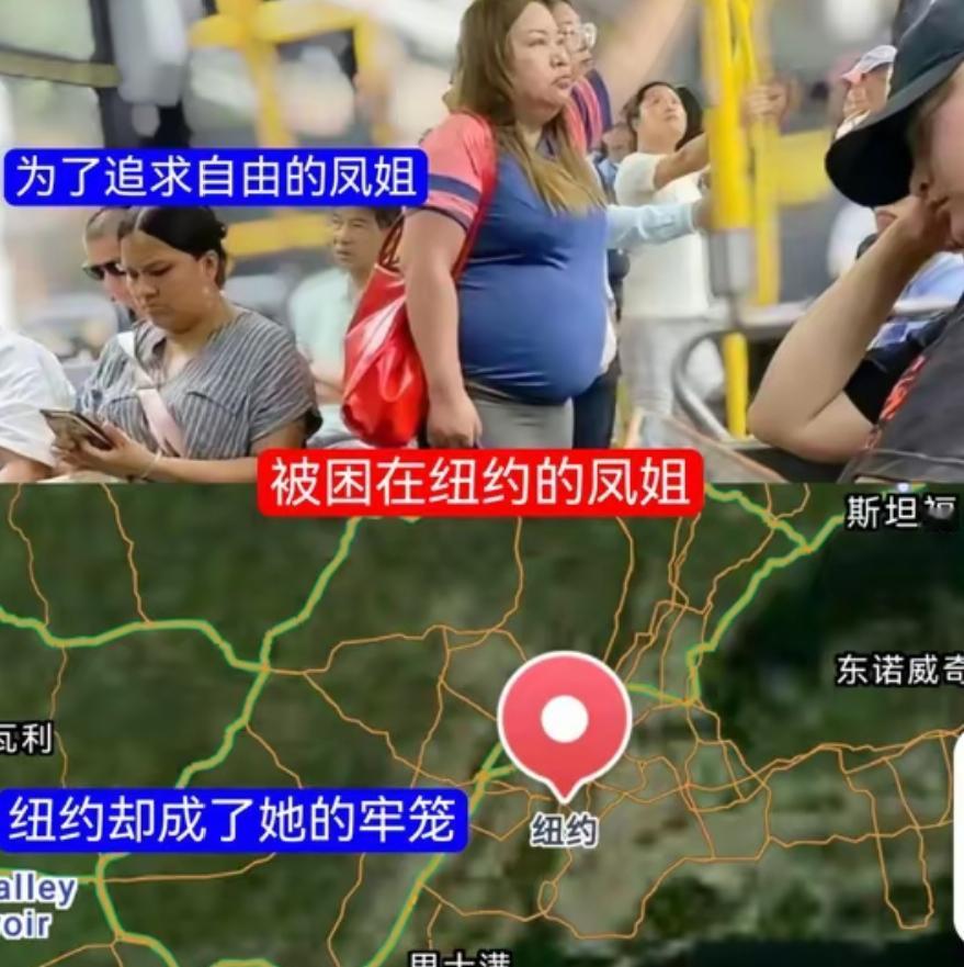 从乡村教师到美国修脚工，凤姐的“尊严”，竟靠抹黑祖国换？

凤姐所谓的“反抗”“