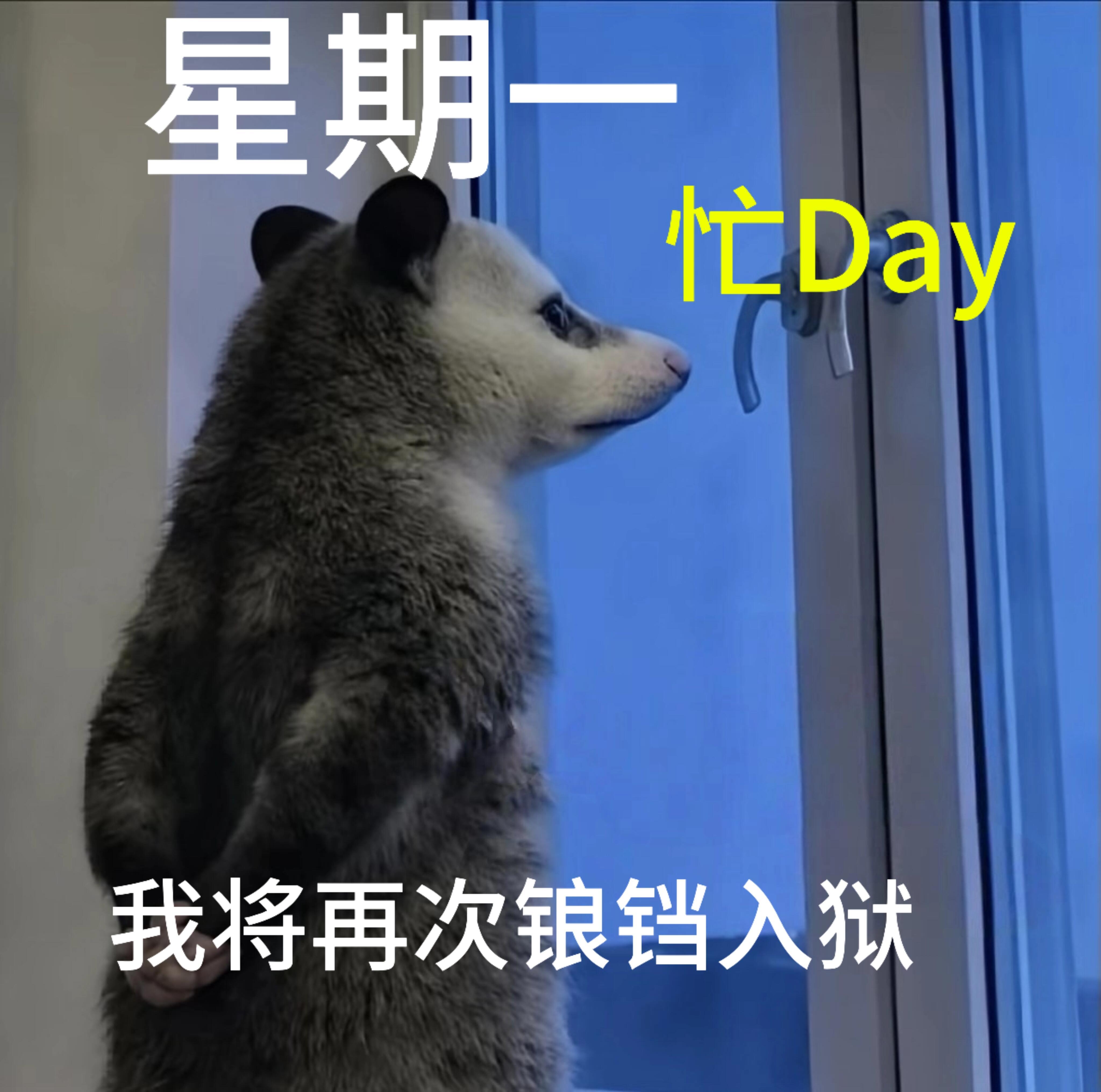天津打雷天津打雷 这么大下雨天来上班，称职的牛马