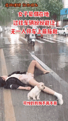 【虚构演绎仅供娱乐】
坚守的🐶🐶……
