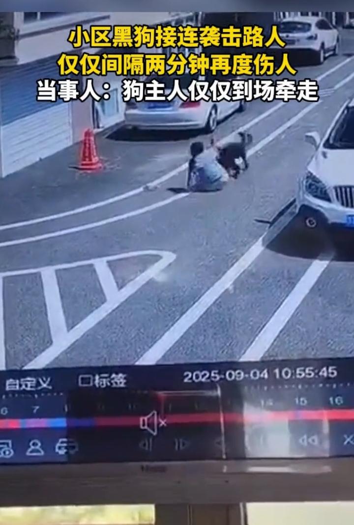 近日山东青岛，一女子在小区内散步，突然，一只黑狗从路口朝她扑了过来，女子被吓的摔