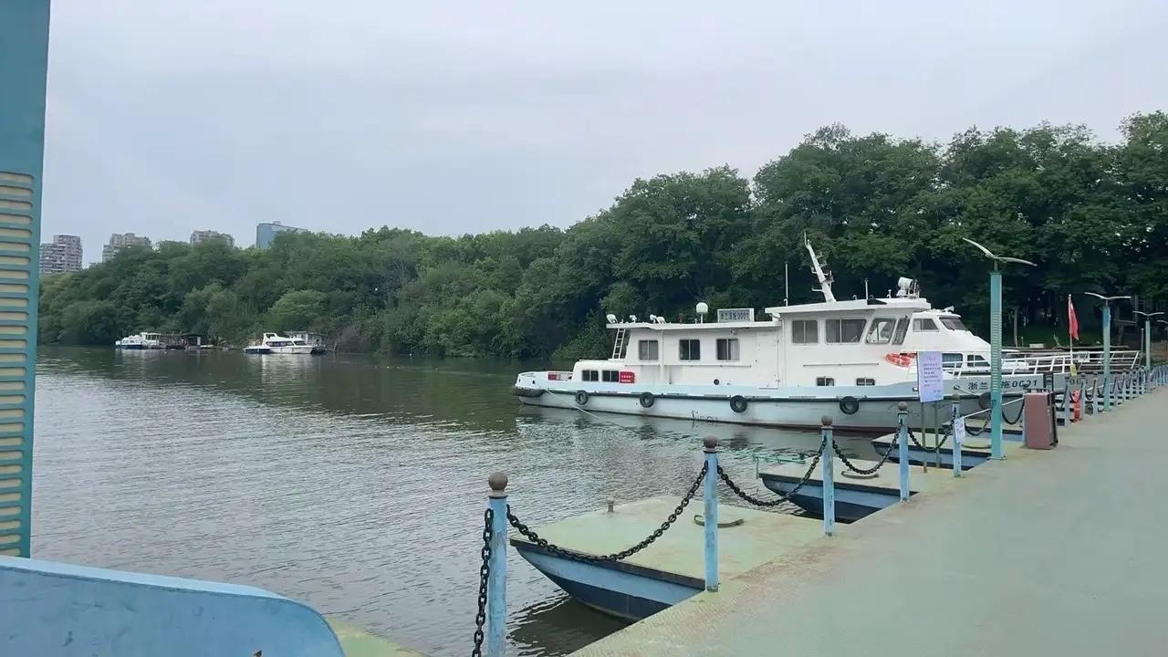 丈夫背叛后，我竟想当小三报复，看清真相后清醒了

发现丈夫背叛那天，我脑子一热，