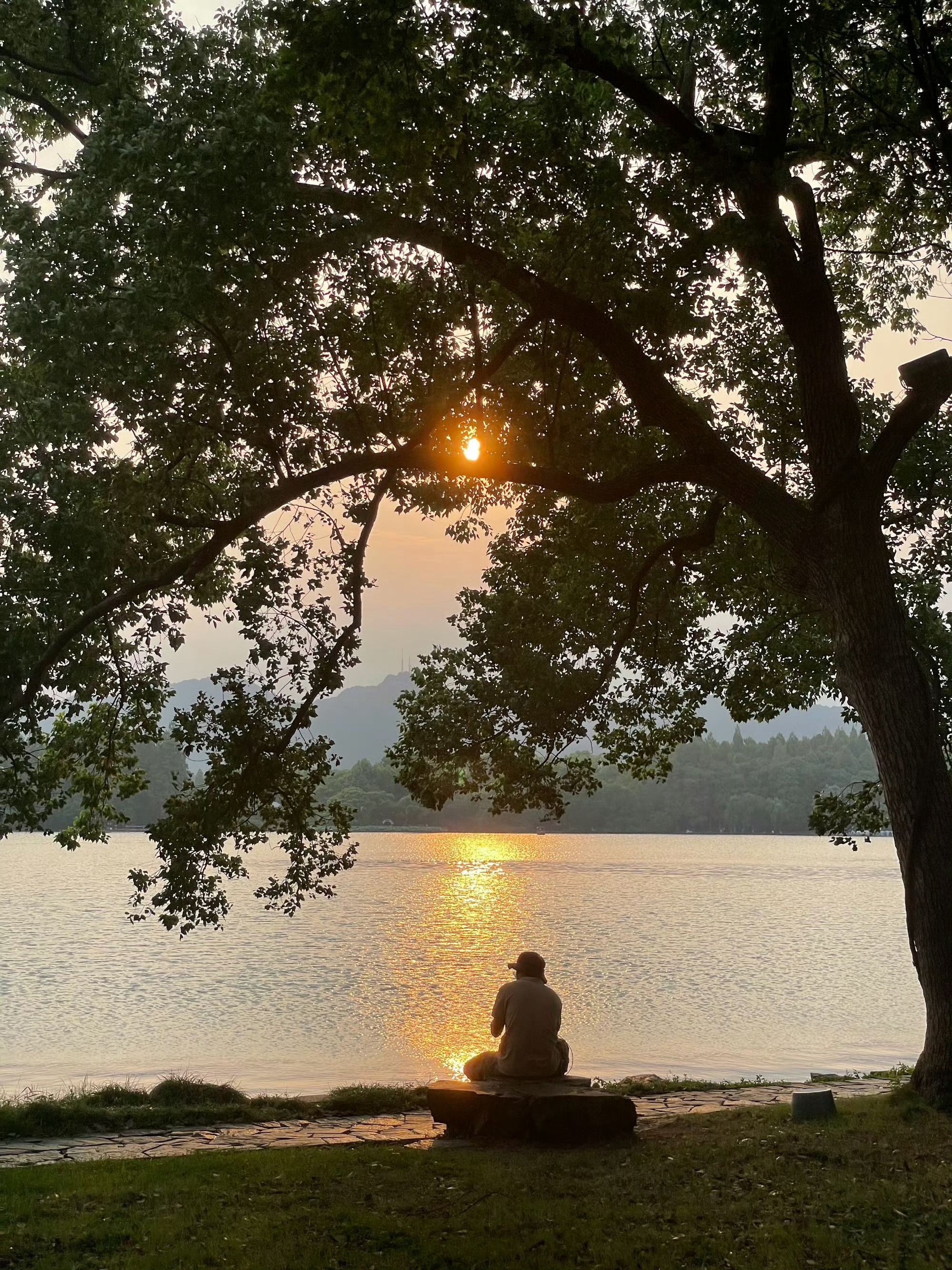 树与人早晚都是同一命运，都要倒下去，只有一点不同，树担心的是外在的险厄，人烦虑的