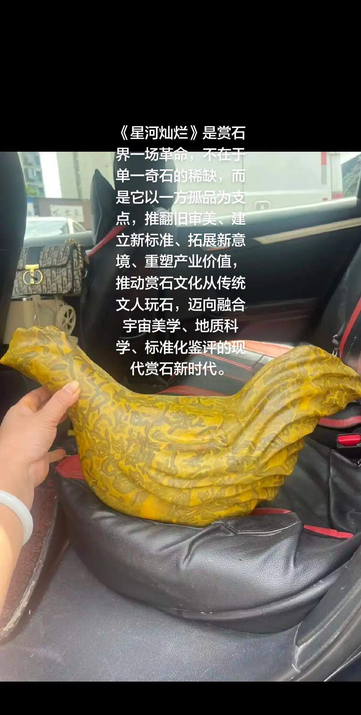 北丹石《星河灿烂》（星河草花纹）《星河灿烂》是赏石界一场革命，不在于单一奇石的稀