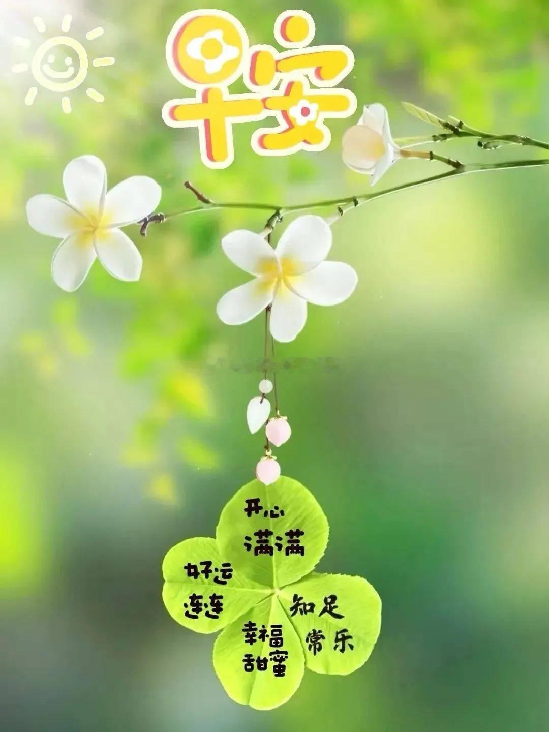 【周三、早！】时间很快，周内第三交易日，早朋友们！ 早安超话 金油趋势引领者-蒋