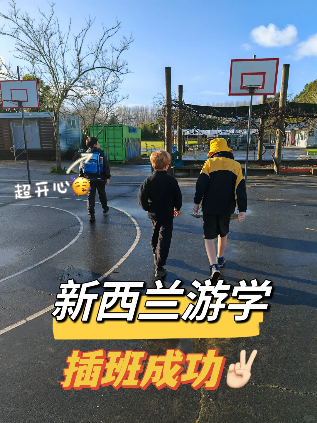 新西兰全真插班太棒了👏超乎我的想象