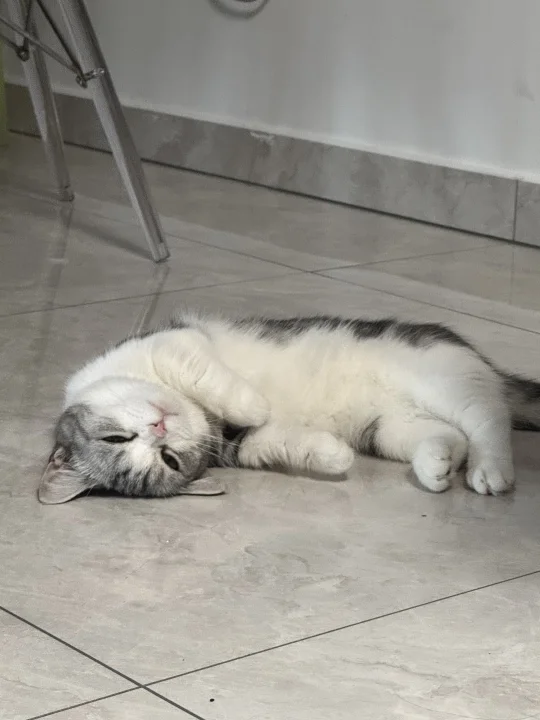 他到底为什么不爱我