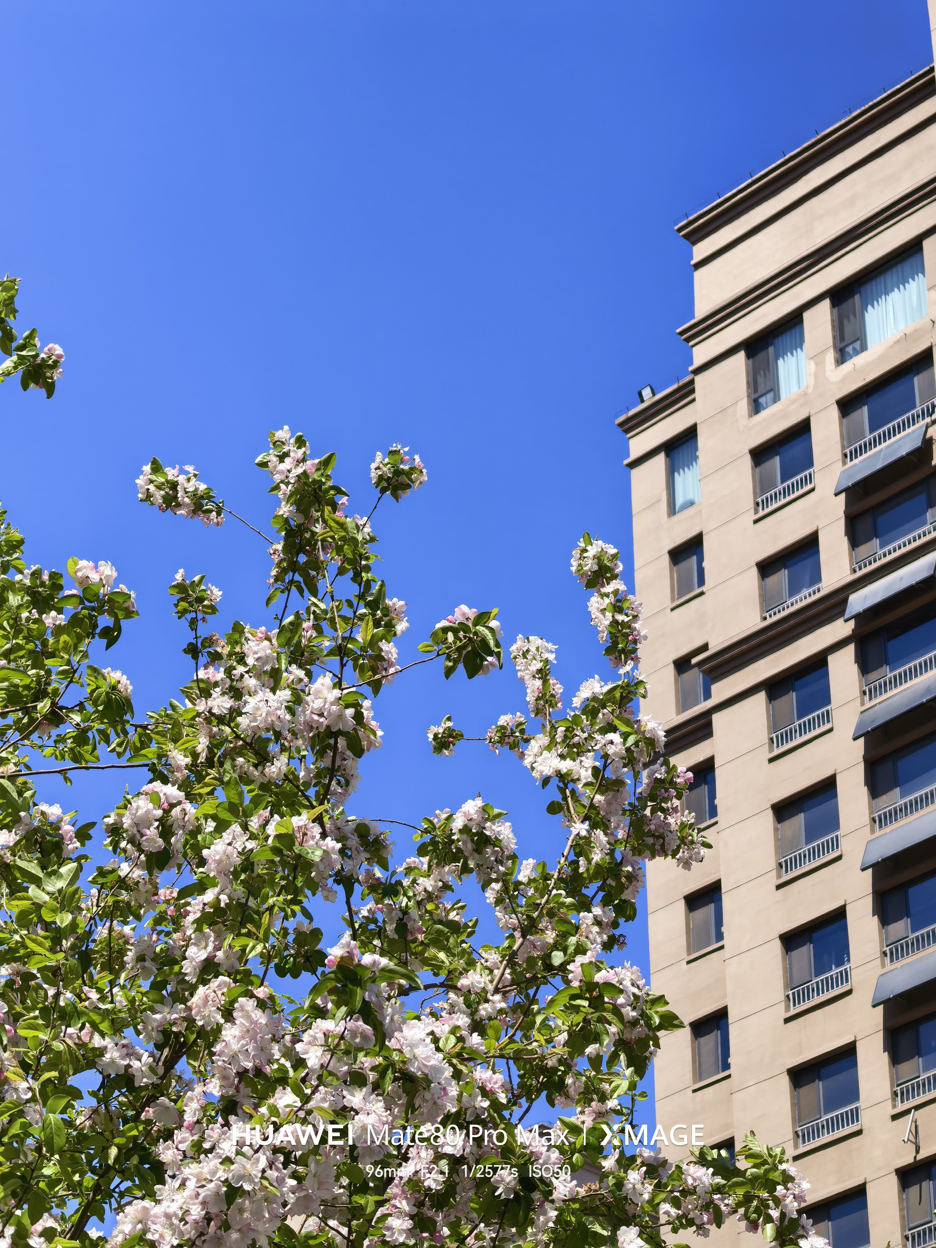 清明三天小长假就这样开始了，主线任务依旧是带娃，也想出去玩，不知道该去哪…山东附