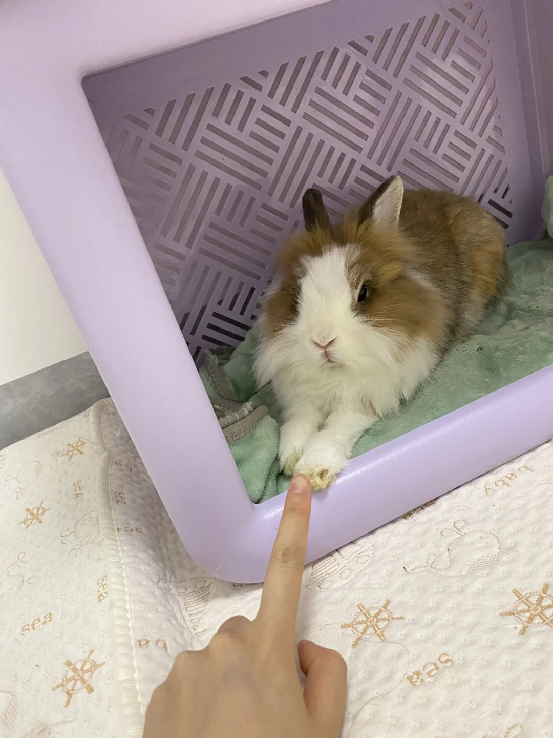 链接成功