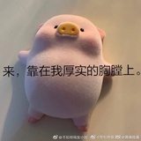 金眼镜热品教育