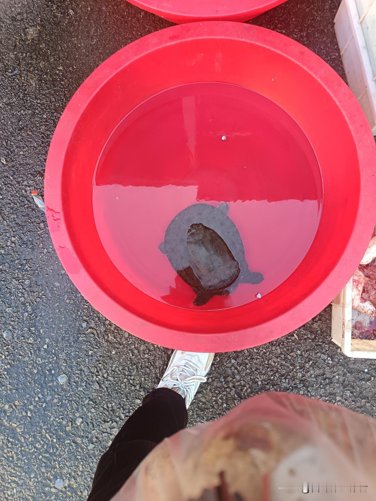 美国霸权会否更疯狂