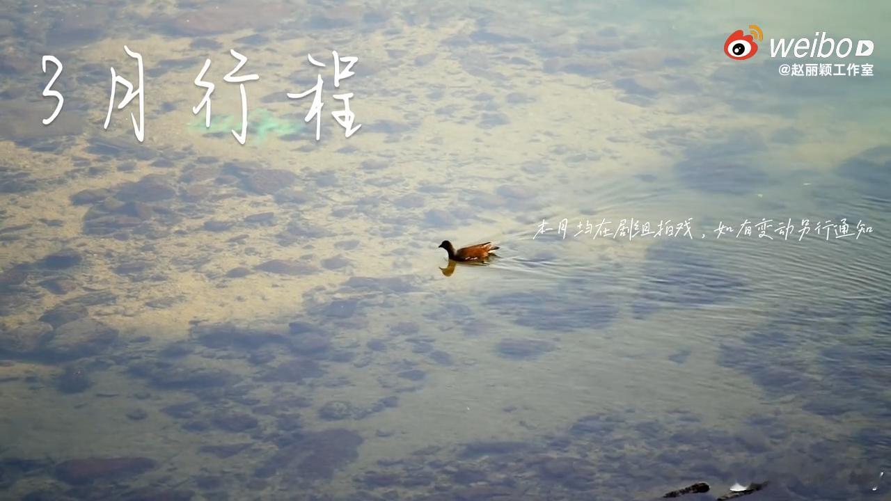 三月赵丽颖行程  赵丽颖拍八虚  三月赵丽颖 