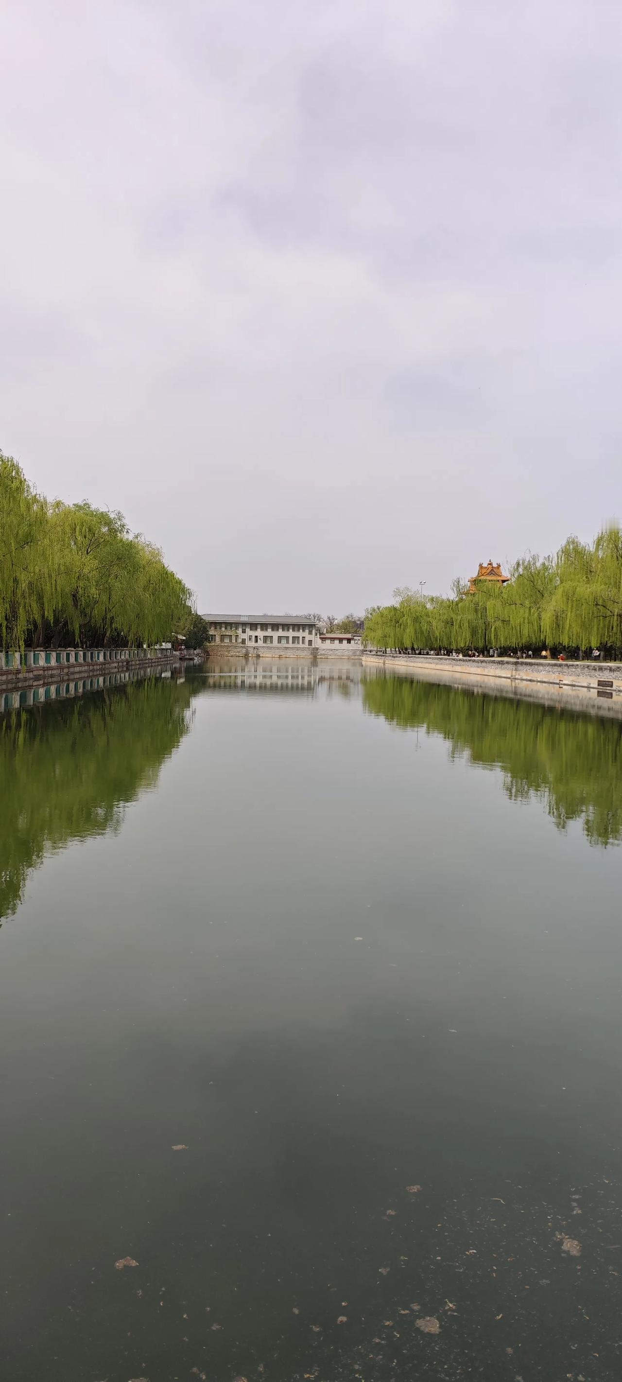 家人们，我这六十岁的人了，有些事儿看得比较明白，今天就想给年轻人提个醒。不管什么