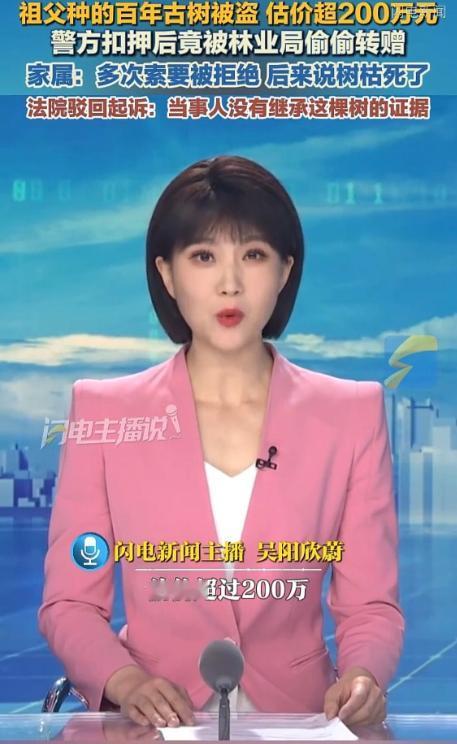 海南，女子家祖辈早年种下一棵百年重阳古树，估值超过200万，结果在2010年某天
