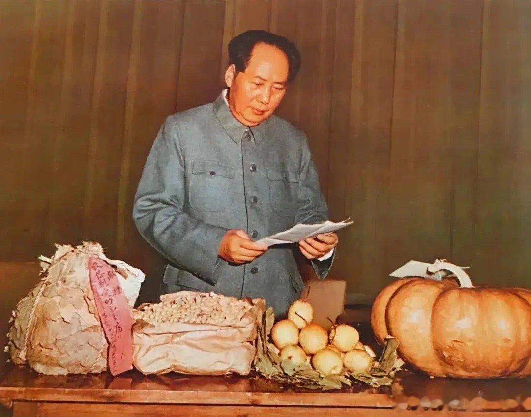 【人间正道是沧桑：我们为什么帮毛主席辩护？】        子珩墨：谁怕真理？谁